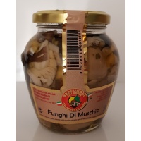 funghi_del_muschio